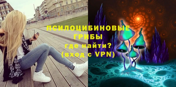 СК Бородино