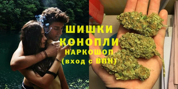 СК Бородино