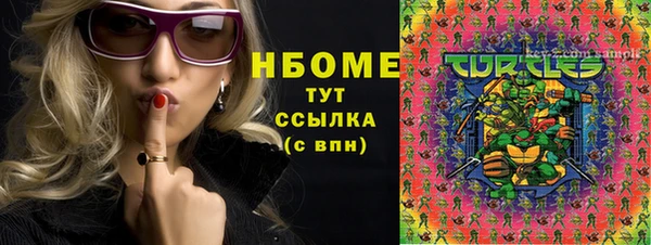 СК Бородино